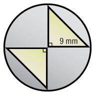 1. What is the approximate area of the circle? Use 3.14 in your calculation.

2. What is the area