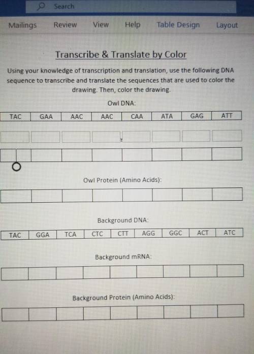 Transcribe & Translate by Color Using your knowledge of transcription and translation, use the