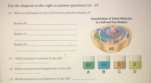PLEASE HELPP
Use the diagram to the right to answer questions 16 - 19.