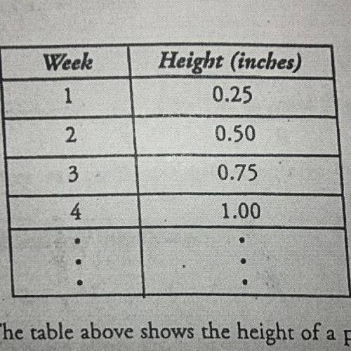 The table above shows the height of a plant

at the end of each week. The height
increases by the