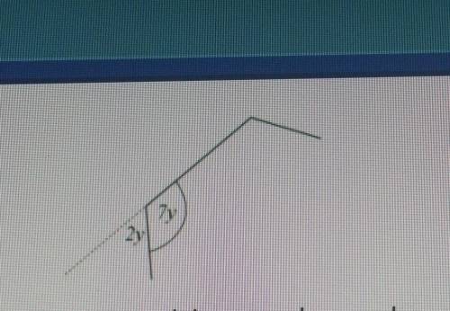 Pls help How many sides does this regular polygon have?