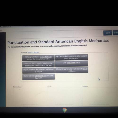 I need help with punctuation and 
Standard American English mechanics