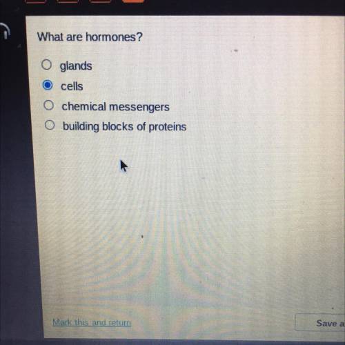 What are hormones?
O glands
cells
chemical messengers
O building blocks of proteins