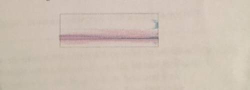 The shape below is a horizontal cross section of a figure. Select all the possible figures that cou