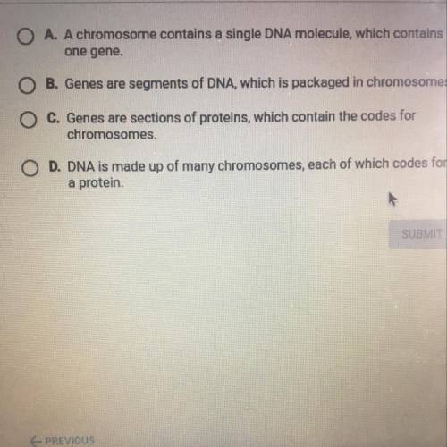 Which statement best describes genetic material?