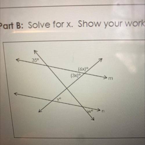 15 POINTS‼️‼️‼️
Part B: Solve for x. Show your work.