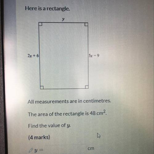 Here is a rectangle all measurement are in centimetres the area is 48cm^2 find the value of y