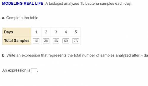 What is the answer at the bottom?