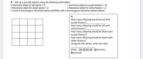 Can you help me with this please! I’ll mark brainliest!