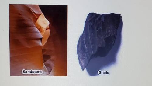Consider the two samples of sedimentary rock seen here.Predict which rock would be more likely to u