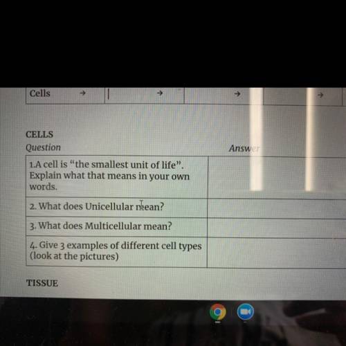 CELLS

Question
Answer
1.A cell is the smallest unit of life.
Explain what that means in your ow