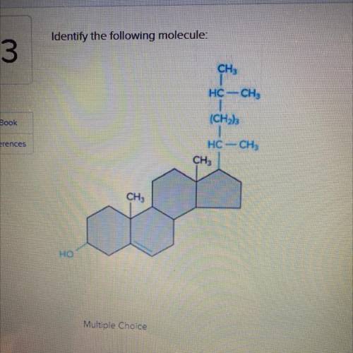 Identify the following molecule

a)amino acid
b)hydrocarbon 
C)carbohydrate
D)alcohol 
E)cholester