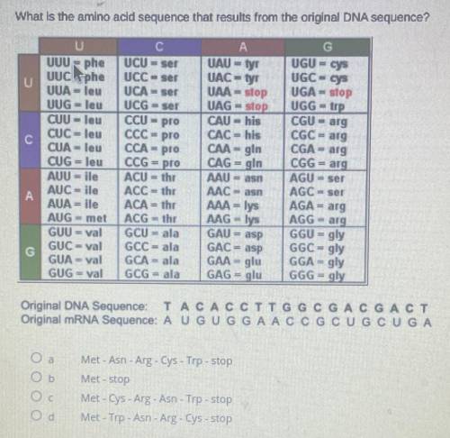 Please help me simple bio genetics