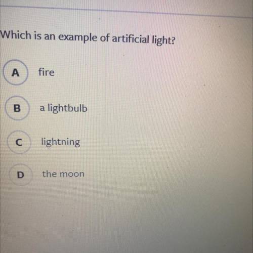 Which is an example of artificial light?