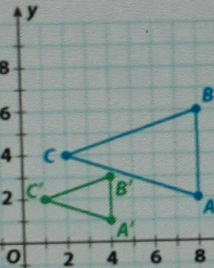 Triangle A'B'C' is a dilation of triangle ABC

Which of the following statements is NOT true? A. T
