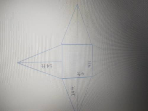 What is the total area