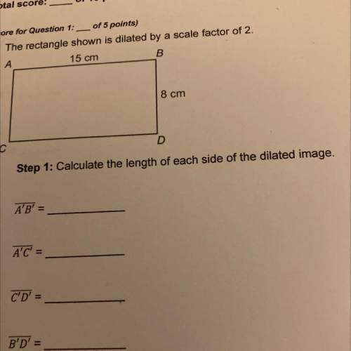 I need an answer + explanation on how to do this