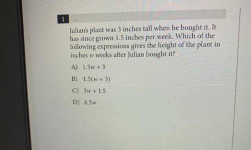 Can somebody help me with this?