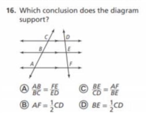 Which conclusion does the diagram support?