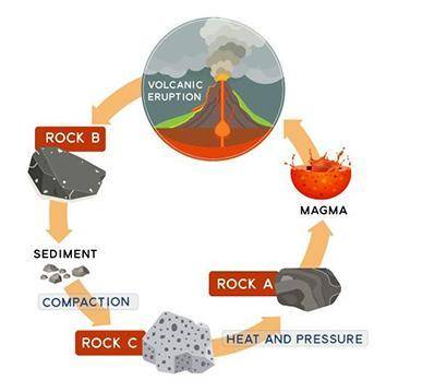 The diagram below shows part of the rock cycle.

Science, Middle school`
Which type of rock does C