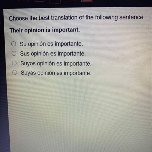 Choose the best translation of the following sentence.

Their opinion is important.
Su opinión es