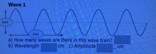 Wave 1

a) How many waves are there in this wave train?
b) Wavelength cm c) Amplitude
cm