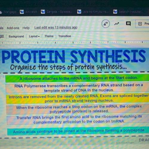 Organize the steps for protein synthesis (need this asap!)