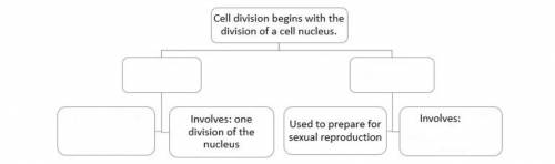 Body cells are produced by cell division that involves mitosis. The gametes needed for sexual repro