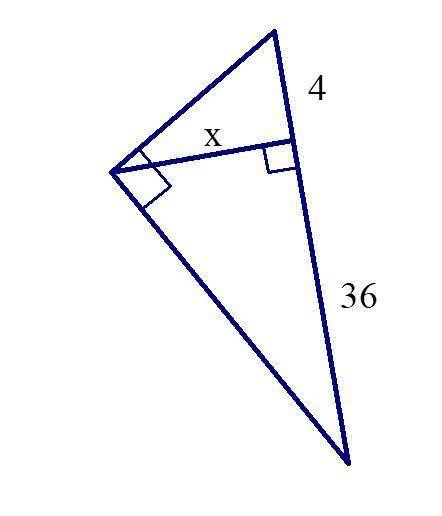 What is the value of x in this problem