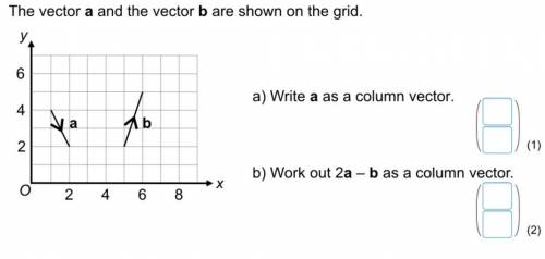 The vector a and the vector b are shown on the grid..