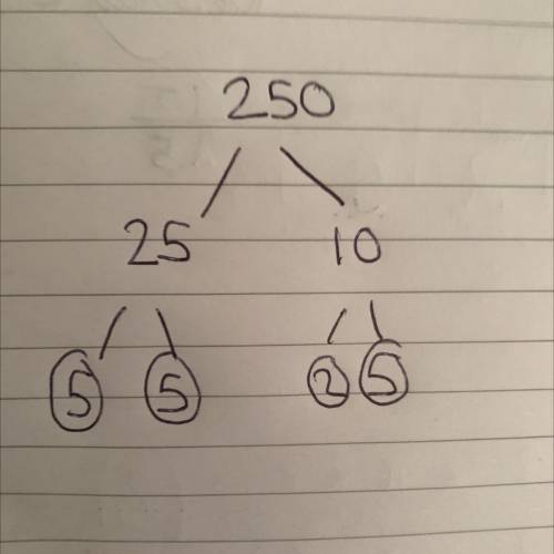 Express 250 as the product of its prime factors.
Write the prime factors in ascending order.