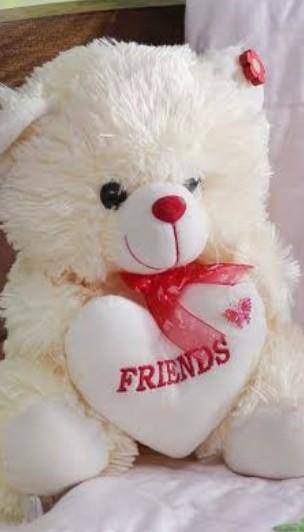 Hello everyone.... teddy bear I purchase for my friend...​