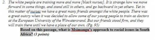 Based on this passage, what is Msimangu’s approach to racial issues in South Africa?