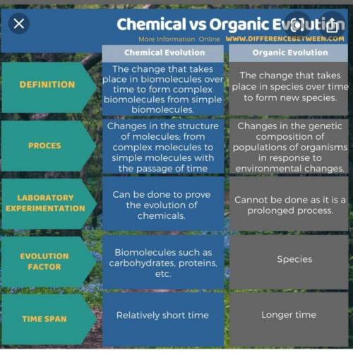 What is the difference between chemical and organic evolution