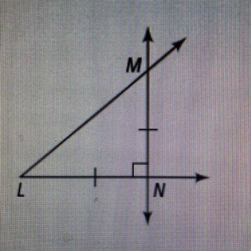 M
11. Which of the following conclusions can you make
from the information in the diagram?