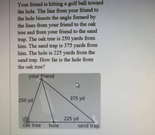 Please I need help!! Im not sure how to do this