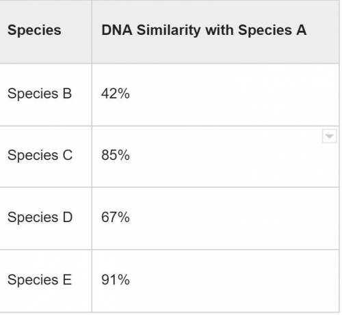 This table shows DNA sequence comparisons for some hypothetical species. Based on the data, describ