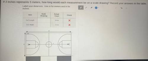 I need help ASAP in 10 minutes If 2 inches represents 5 meters, how long would each measurement be