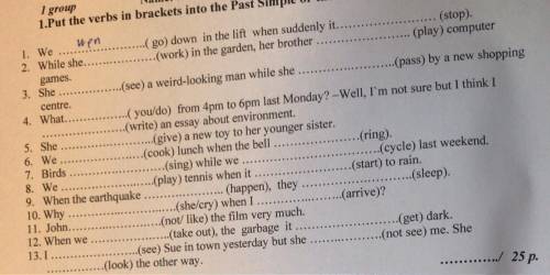 Put the verbs in brackets into the past simple or the past continues HELPPPP FASTTTT