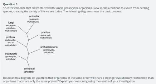 Scientists theorize that all life started with simple prokaryotic organisms. New species continue t