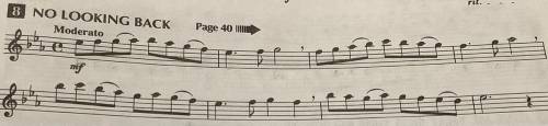 I need help on translating this music notes for flute

I would really appreciate it if you guys co