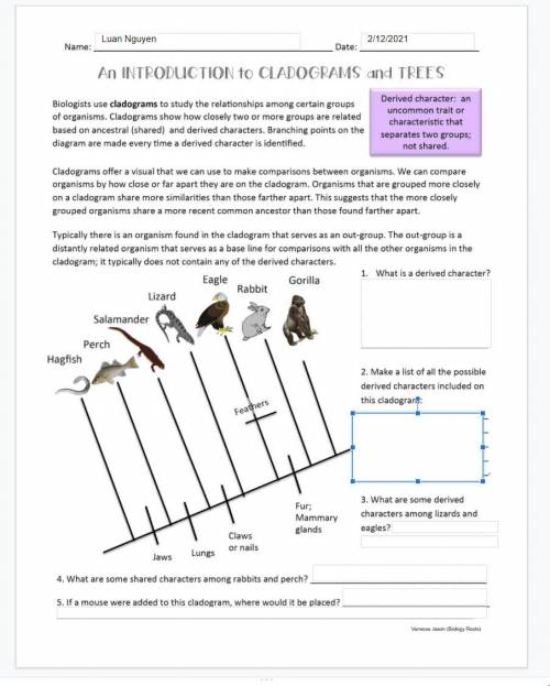 An introduction to cladograms and trees