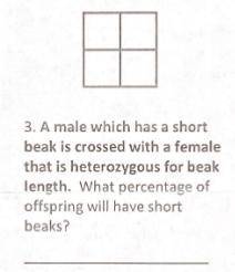 Can someone help me with this, also brainliest.
PUNNETT SQUARES