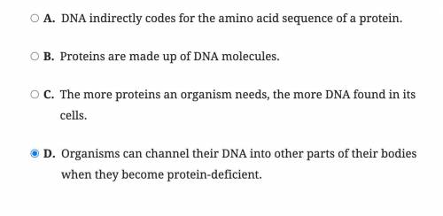 Which of the following best describes the relationship between DNA and proteins? (I accidentally cl