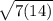 \sqrt{7(14)}