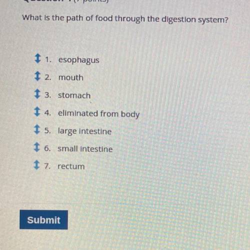 What is the path of food through the digestion system?

It would be so helpful if anyone could hel