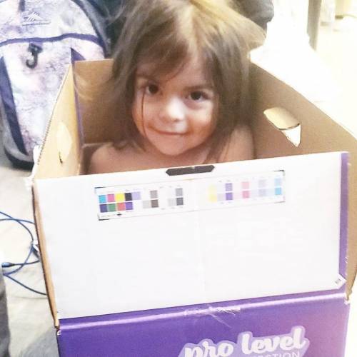Here is a picture of my baby cousin playing in a Luvs diaper box. Do you think she should be a baby