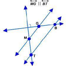 Which statement is correct?

A. MG is perpendicular to TB 
B. MT is skew to GB
C. BT is transversa