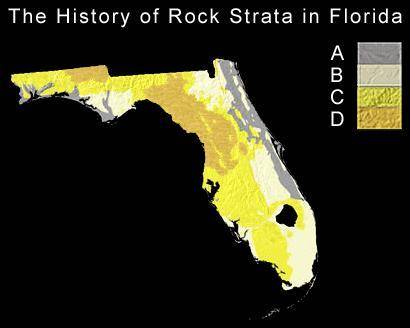 Examine the Florida map shown below. Using the law of superposition, which of the following stateme