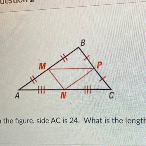 In the figure, side AC is 24. What is the length of MP